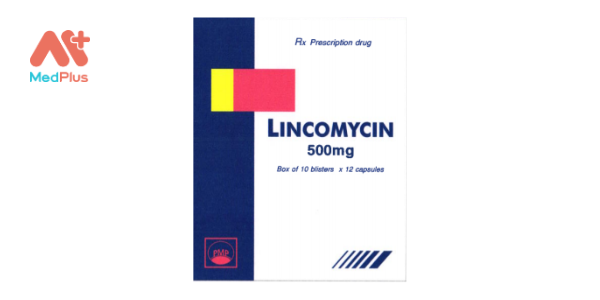 Lincomycin 500