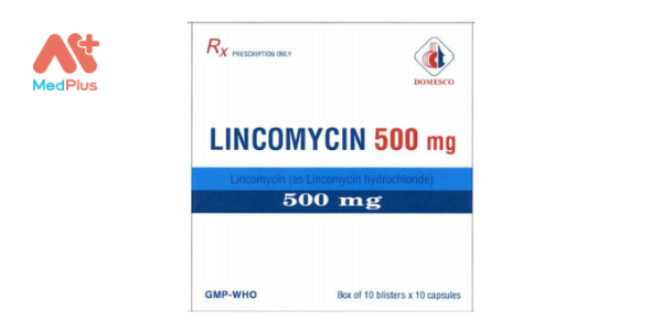 Thuốc Lincomycin 500