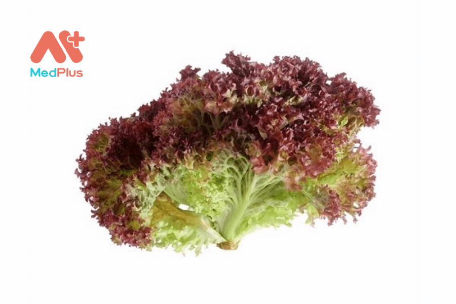 Lợi ích của xà lách đỏ