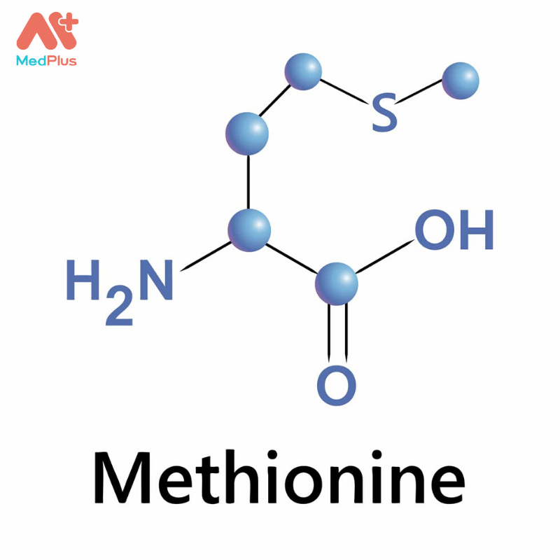 Methionine