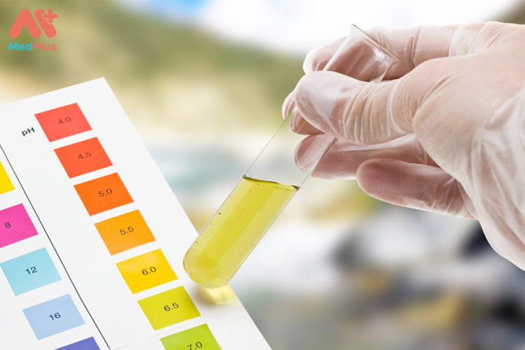 Nhưng Protein niệu được phát hiện bằng xét nghiệm nước tiểu thường xuyên