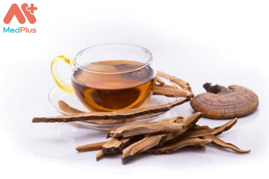 Lợi ích của trà nấm linh chi