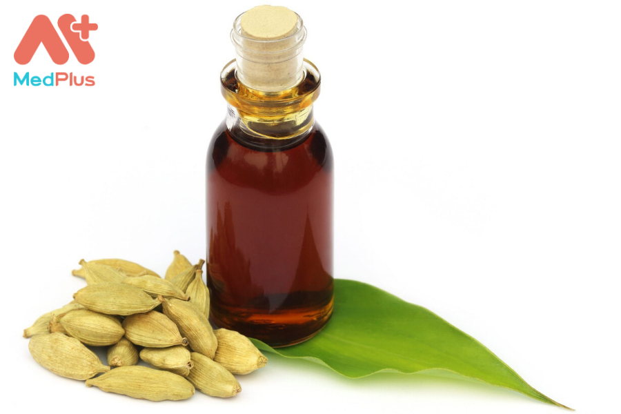 Lợi ích của dầu lô hội