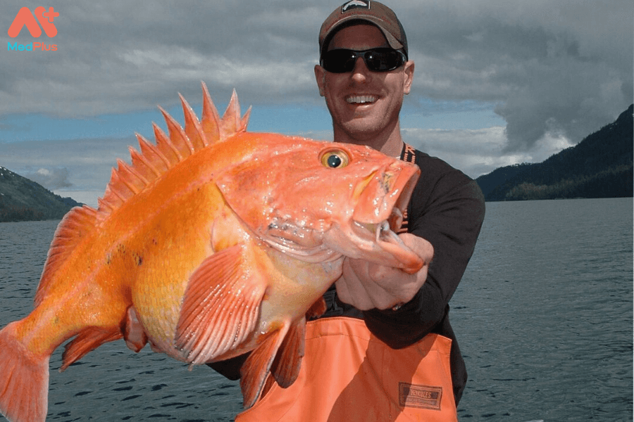 Lợi ích của cá đá