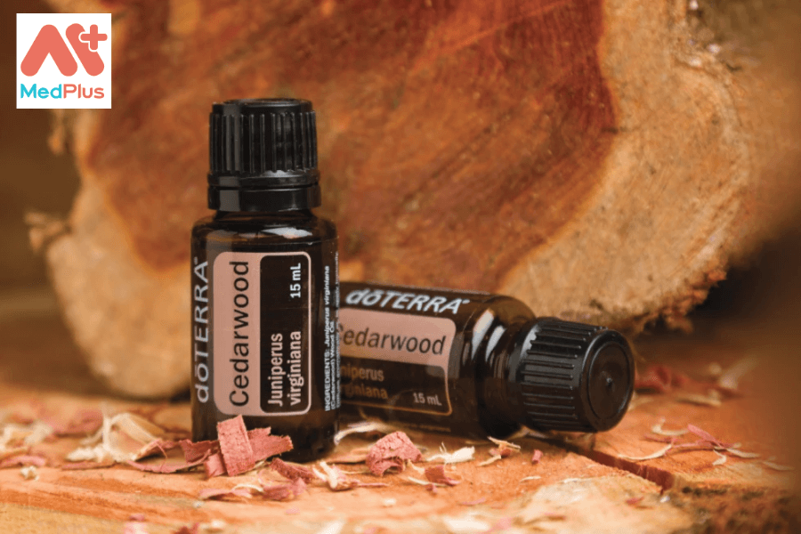 Lợi ích của tinh dầu tuyết tùng