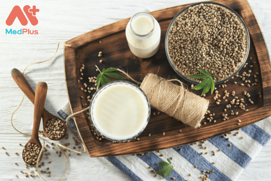 Lợi ích của sữa hạt gai dầu