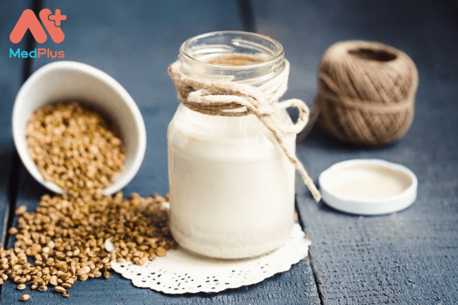 Lợi ích của sữa hạt gai dầu