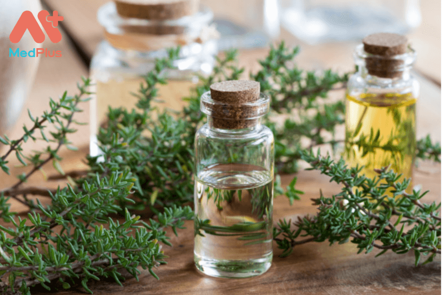 Lợi ích của tinh dầu húng tây