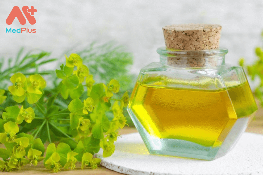 Lợi ích của tinh dầu cây bách