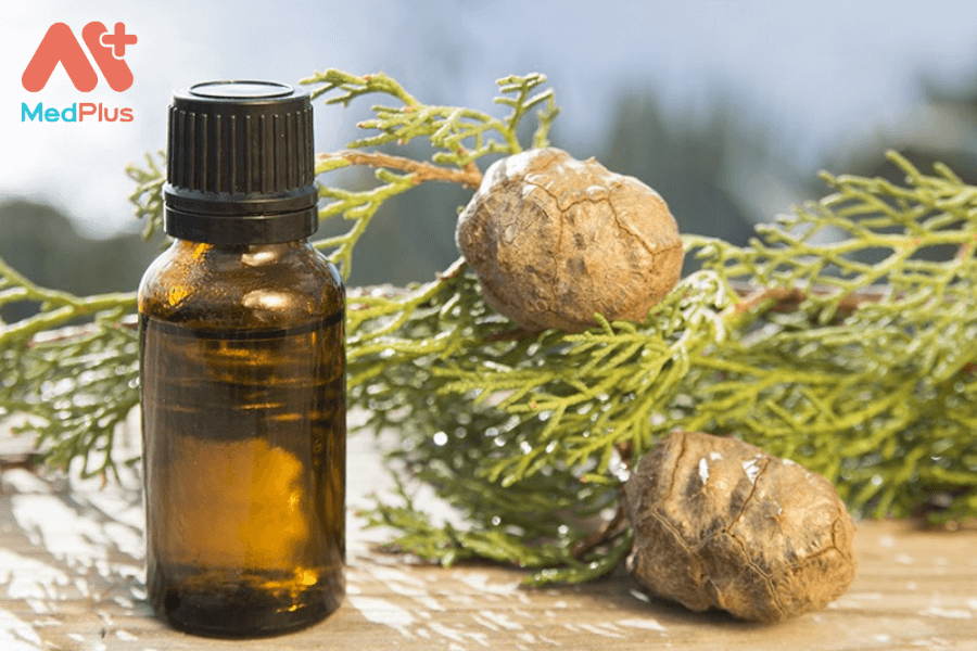 Lợi ích của tinh dầu cây bách