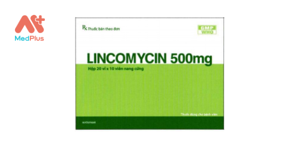 Thuốc Lincomycin 500 mg 