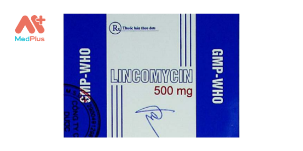 Thuốc Lincomycin 500