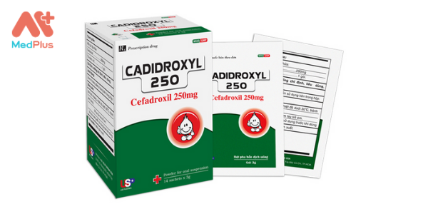 Thuốc Cadidroxyl 250