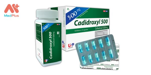 Thuốc Cadidroxyl 500