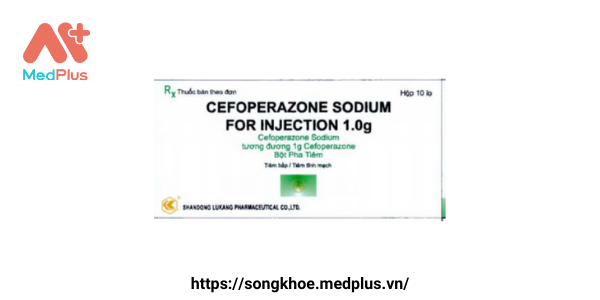 Thuốc Cefoperazone Sodium for Injecton 1.0g