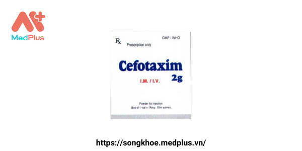 Thuốc Cefotaxim 