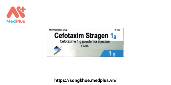 Thuốc Cefotaxim Stragen 1g