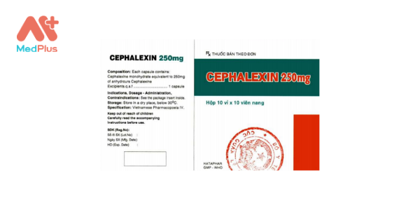 Thuốc Cephalexin 250 mg