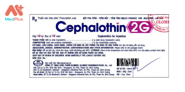 Thuốc Cephalothin 2g