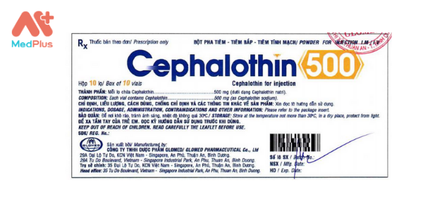 Thuốc Cephalothin 500