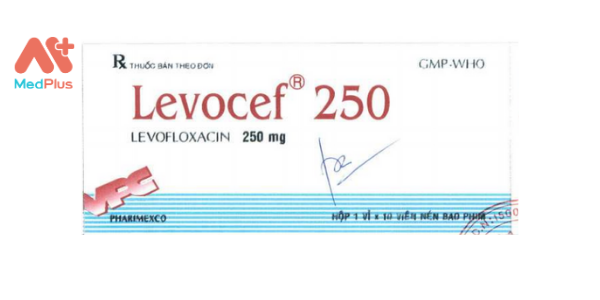 Thuốc Levocef 250