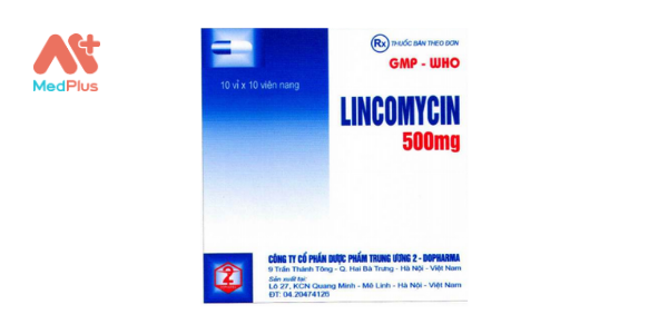 Thuốc Lincomycin 500 mg
