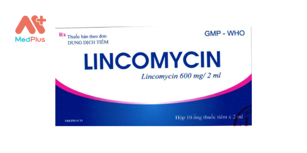 Thuốc Lincomycin 600mg/2ml