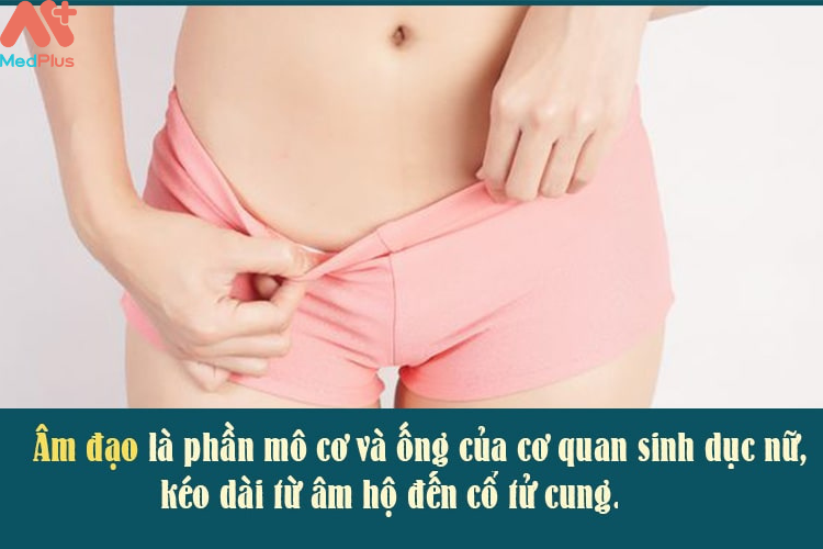 Triệu chứng của viêm nhiễm âm đạo 