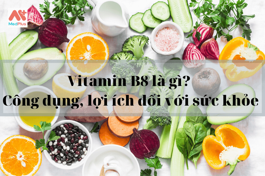 Vitamin B8 là gì Công dụng, lợi ích đối với sức khỏeVitamin B8 là gì Công dụng, lợi ích đối với sức khỏe