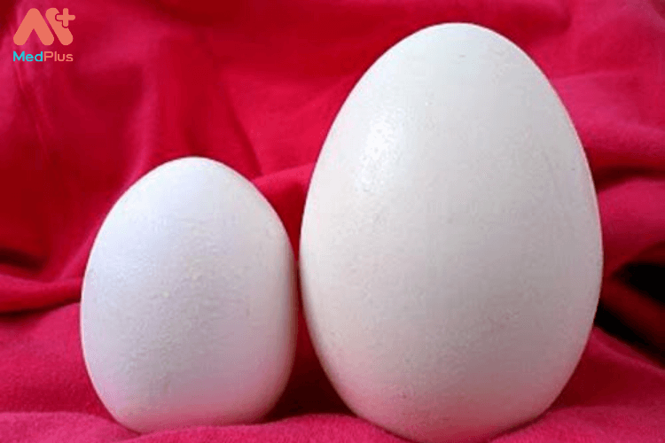 Có bầu ăn trứng ngỗng: Phát triển trí não tốt