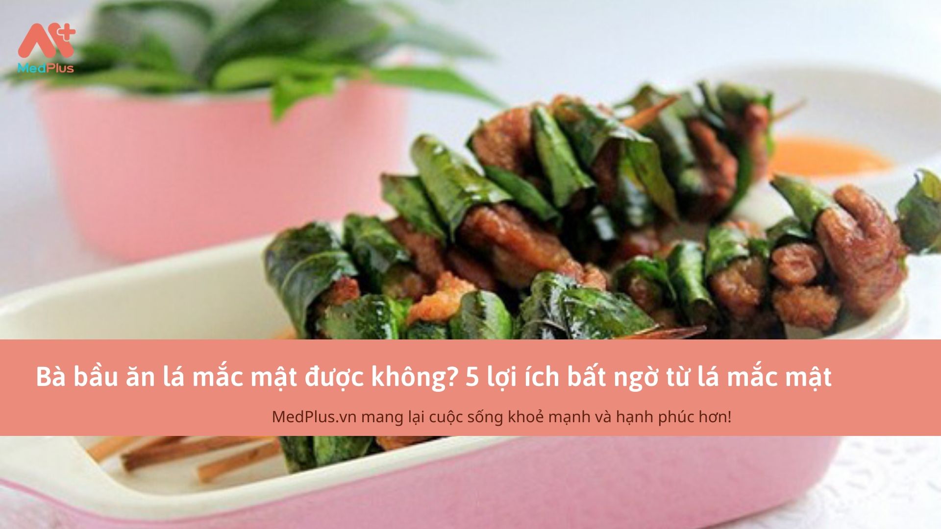 Bà bầu ăn lá mắc mật được không? 5 lợi ích bất ngờ từ lá mắc mật 130 Bà bầu ăn lá mắc mật được không? 5 lợi ích bất ngờ từ lá mắc mật