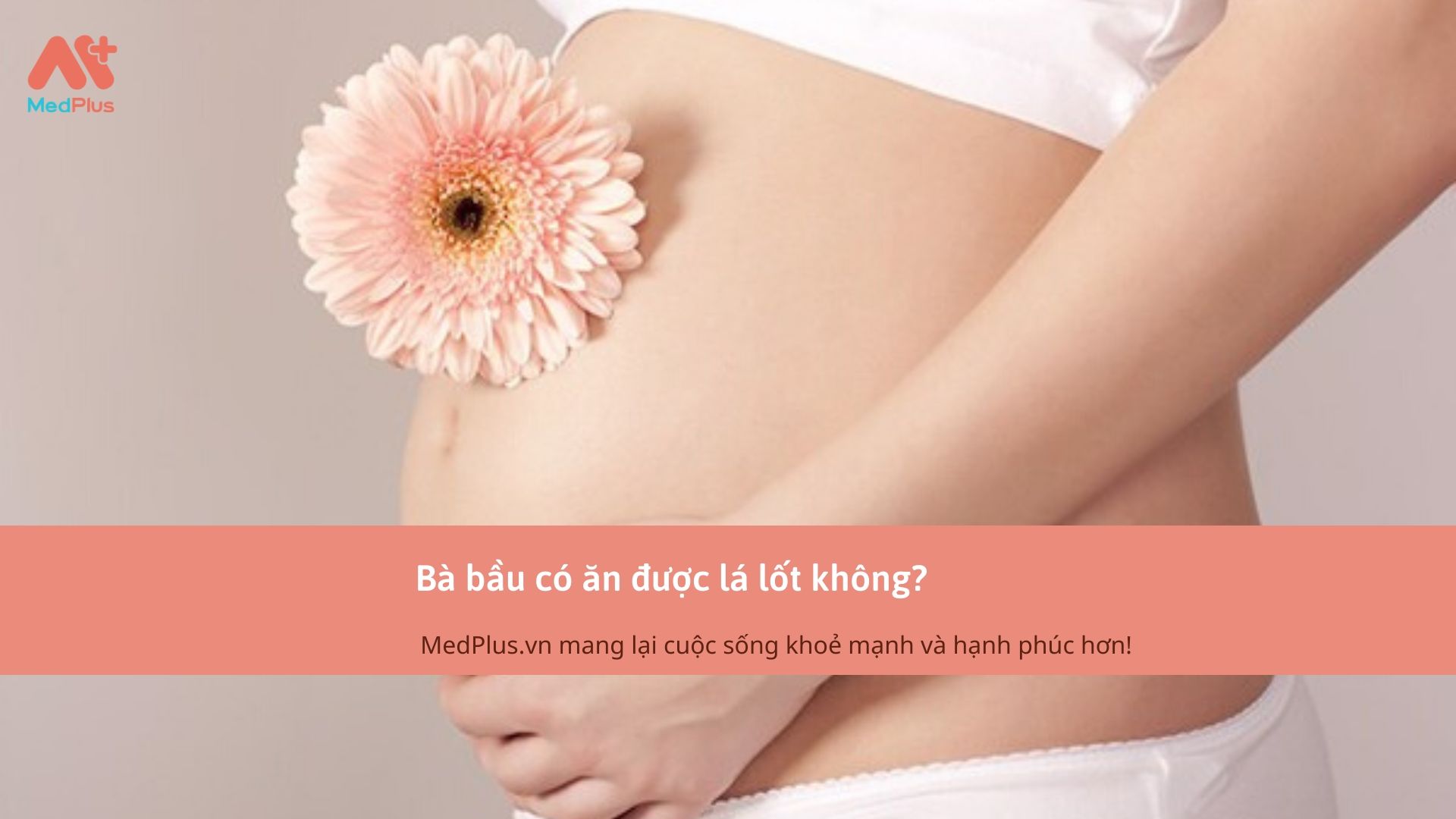 Bà bầu có ăn được lá lốt không?