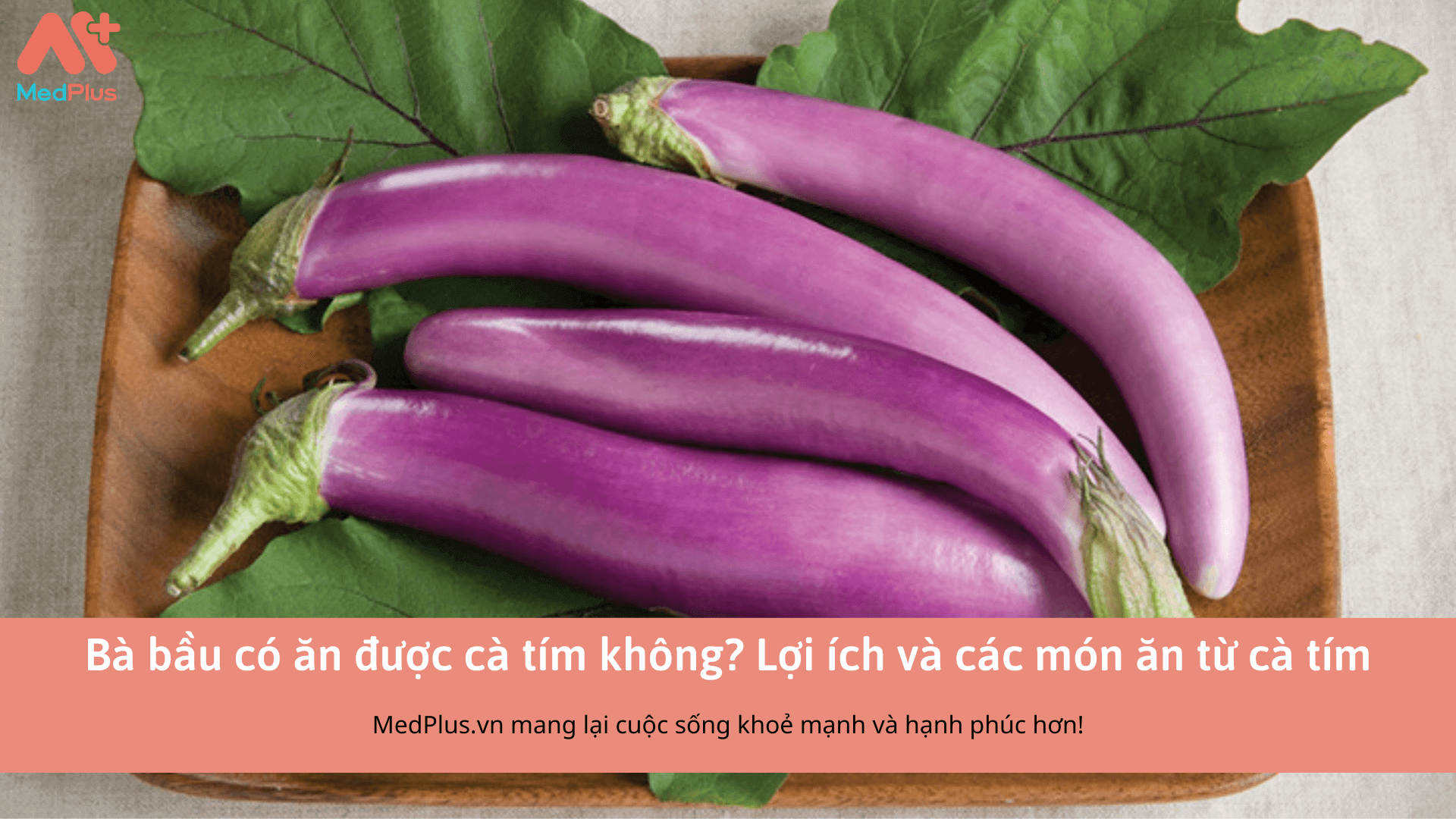 Giải đáp câu hỏi: Bà bầu có ăn được cà tím không? 133 Bà bầu có ăn được cà tím không? Lợi ích và các món ăn từ cà tím