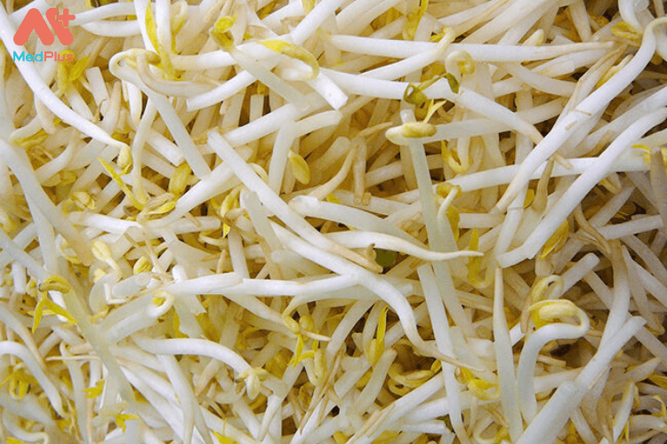 Giá đỗ, rau mầm là một nguồn protein, vitamin C và axit folic tốt.