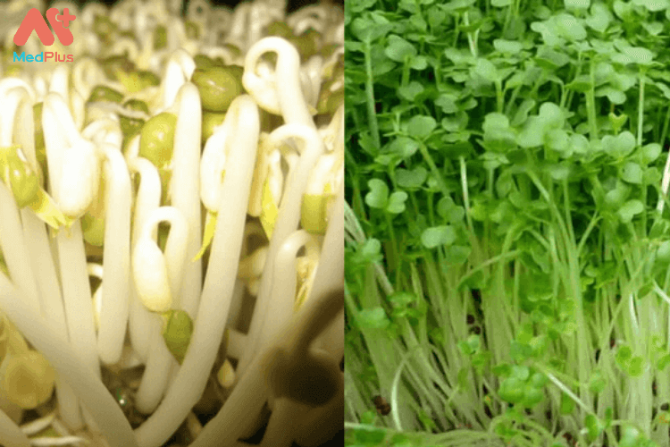 Đậu xanh trong giá đỗ có nhiều folate, sắt và protein, tất cả những gì phụ nữ cần nhiều hơn trong khi mang thai.