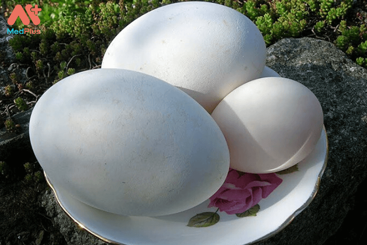 Trứng ngỗng rất giàu chất dinh dưỡng như protein, chất béo, khoáng chất và vitamin.
