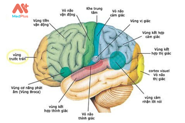 phòng khám thần kinh giỏi