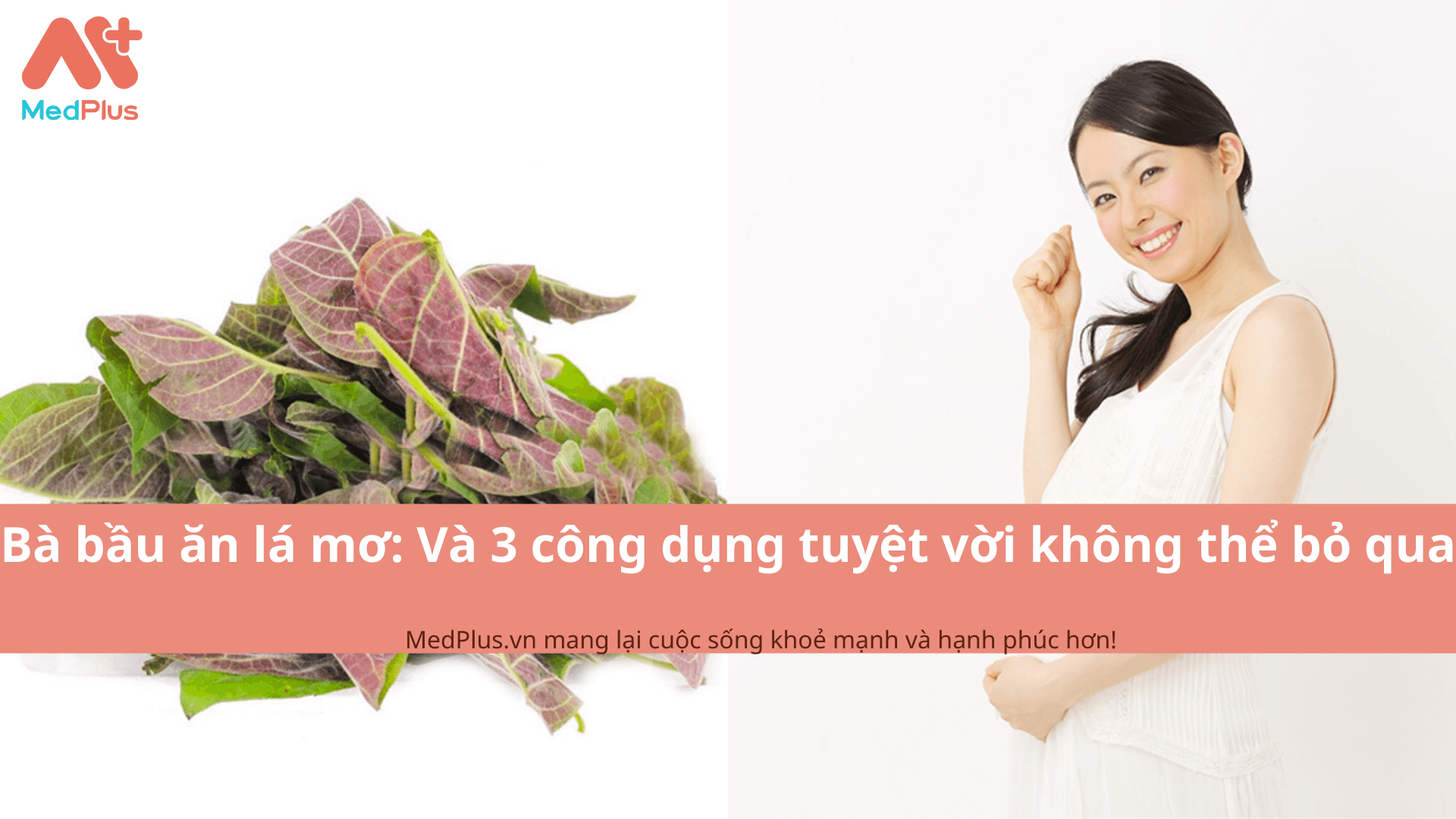 Bà bầu ăn lá mơ: Và 3 công dụng tuyệt vời không thể bỏ qua