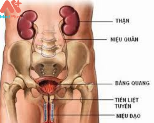 Cơ sở y tế có khoa Ngoại tiết niệu uy tín Đà Nẵng