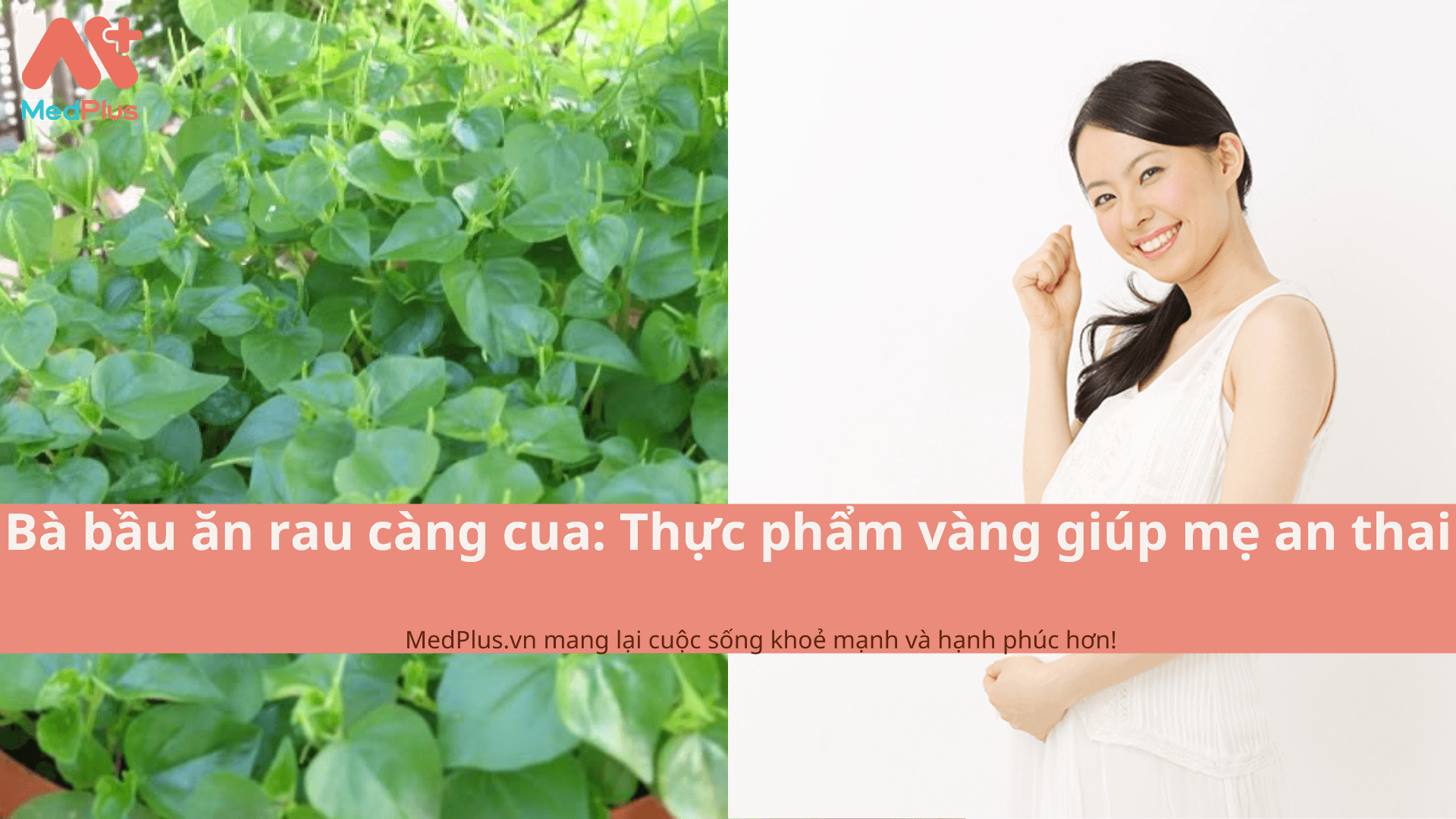 Bà bầu ăn rau càng cua: Thực phẩm vàng giúp mẹ an thai