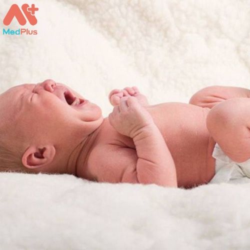 [Review] Sữa Dielac Alpha Gold IQ 1 cho trẻ sơ sinh đến 6 tháng tuổi