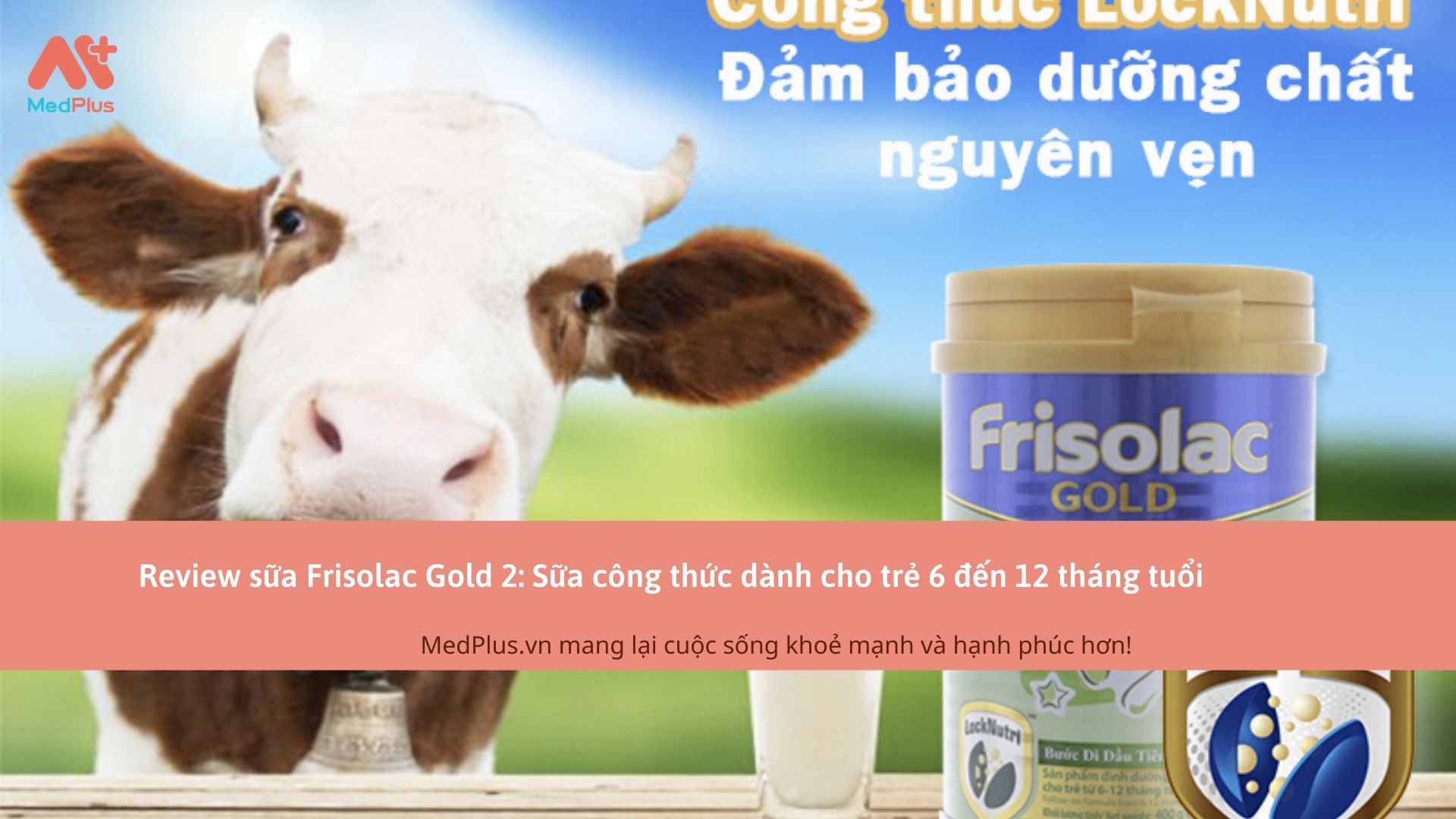 Review sữa Frisolac Gold 2: Sữa công thức dành cho trẻ 6 đến 12 tháng tuổi