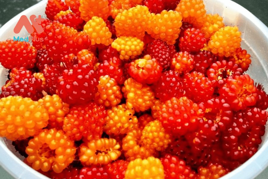 Salmonberry và tác dụng tuyệt với sức khỏe 128 Lợi ích của salmonberry