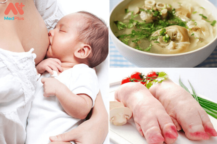 Trong giai đoạn cho con bú, mẹ nên ăn thịt heo hoặc các món ăn lợi sữa