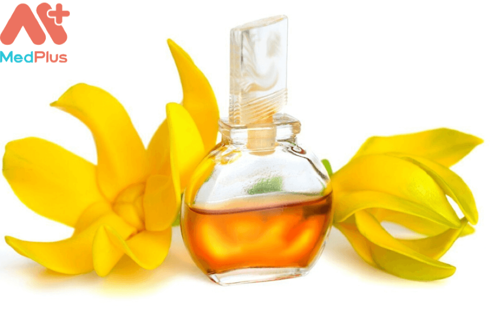 Tinh dầu ngọc lan tây có tác dụng gì