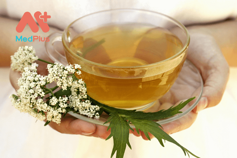 7 lợi ích tuyệt vời của trà cây nữ lang 128 Lợi ích của trà cây nữ lang