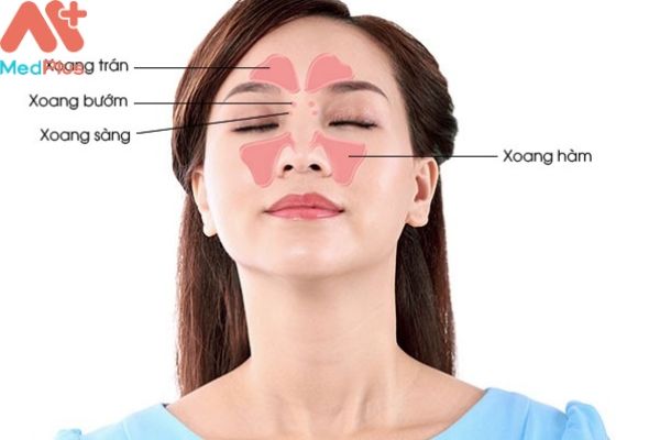 Bỏ túi Top 5 địa chỉ khám viêm xoang uy tín tại Hà Nội