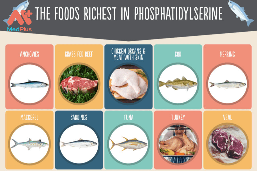 Lợi ích của phosphatidylserine