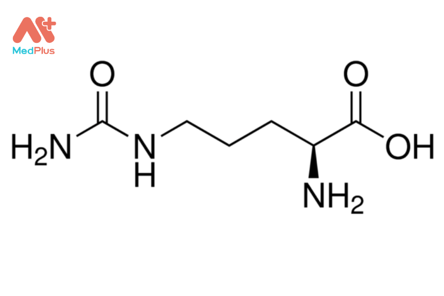 Lợi ích của citrulline