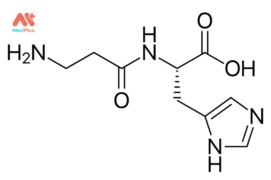 Lợi ích của carnosine